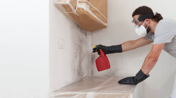 Professional Mold Removal technician working in Cologne, NJ